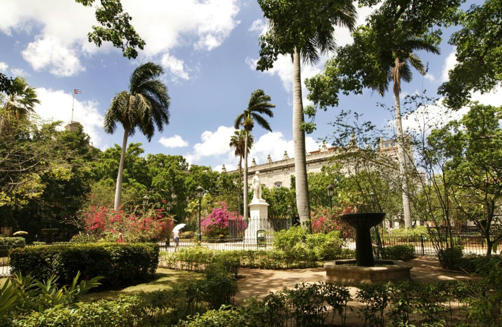 arm's square havana